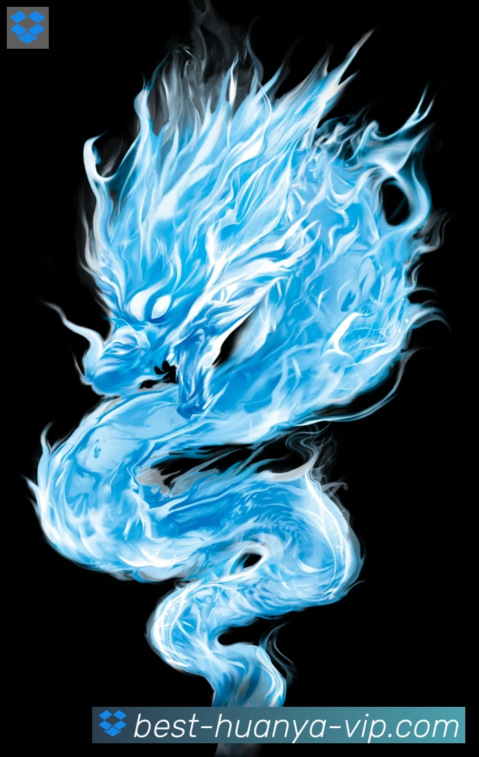 未来规划
